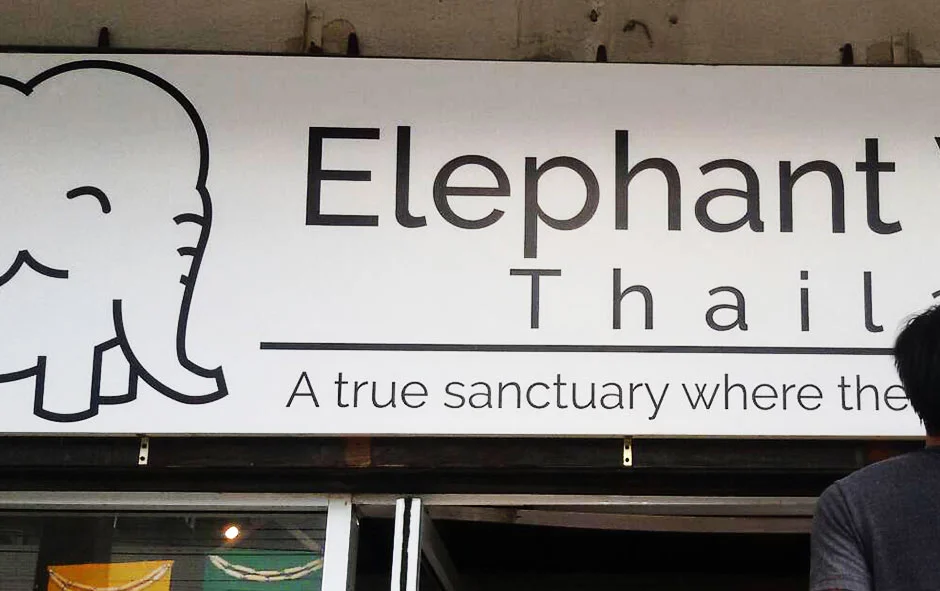 ผลงานติดตั้ง2 ปางช้างสีขาว2